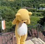 ʕ•ᴥ•ʔの画像