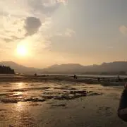 アストロの画像