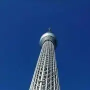 nasiの画像