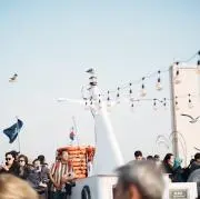 shark
