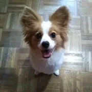 Hiro