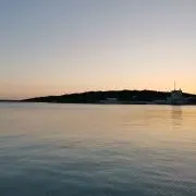 法螺貝 ほら貝 インテリア 素材 魔除け 宮古島産 ※値下げしました