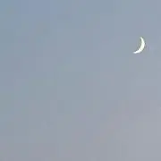 ‪もちもち☆の画像