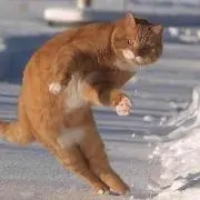 ぐぐり