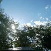さとの画像