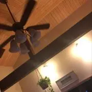 terryの画像