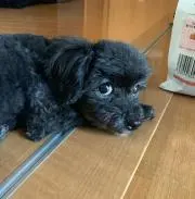 ゆっこの画像
