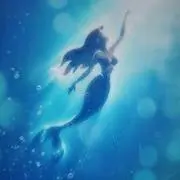 ユムラの画像