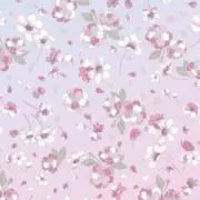 ゆゆゆの画像