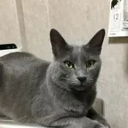 じゅっきー