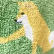 かな太郎の画像