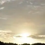 アルパカにいさん