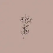 すしこ
