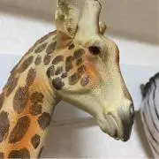 punkdukeの画像