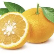 甘夏の画像