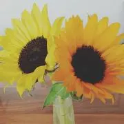 ayatakaの画像
