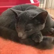 ♡のんちゃん♡