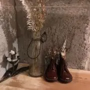 sakkoの画像