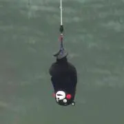サBOYの画像