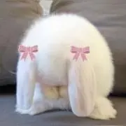 woo_32の画像