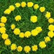 ＊smile＊