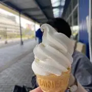 RRの画像