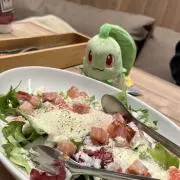 mikuの画像