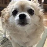 たぁ～の画像