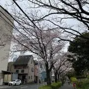 Shakeyの画像