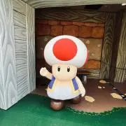 キノピオの画像