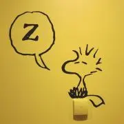 ほだかの画像