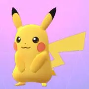 せー。