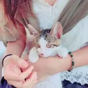 めいぷるの画像
