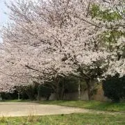 kotaroの画像