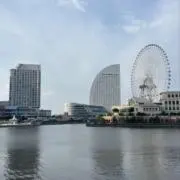 ゆうだいの画像