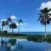 レイの画像