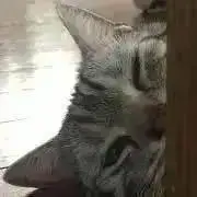 MR’sの画像
