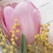 SOARの画像