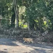 みの画像