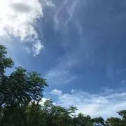 Nの画像