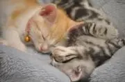 まんまる
