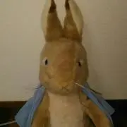 赤いトマトの画像