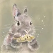 むぎたんの画像