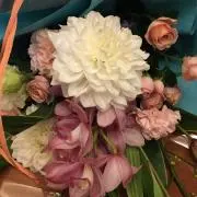 tomo ※プロフ確認して下さいの画像
