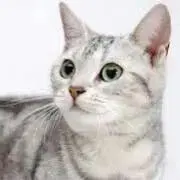 たんたん♡着画☓取置☓