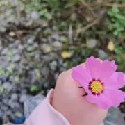 «@アリリママ»