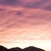 henaの画像