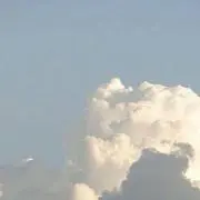 ゆきの画像