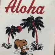hanaの画像