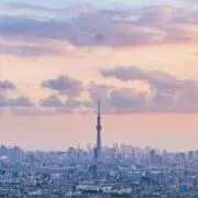 ななの画像